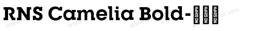 RNS Camelia Bold字体转换